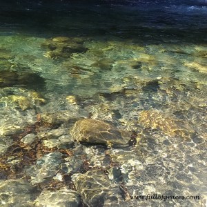 This is the Smith River at Madrona Beach. We pulled over because we could not believe how clear the water was.