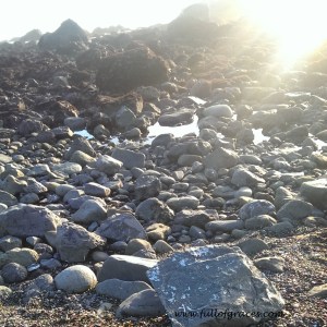 We hit Crescent City and took 9th street until we hit this wonderful rocky beach with tide pools.