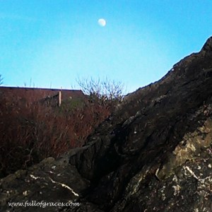 Luna is Annie's special friend. She wanted me to take this picture.